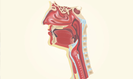 vocal cord treatment delhi